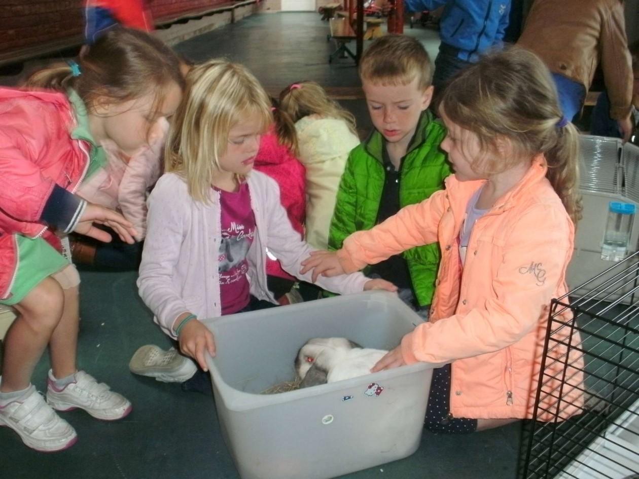 3KABC Huisdierenmarkt