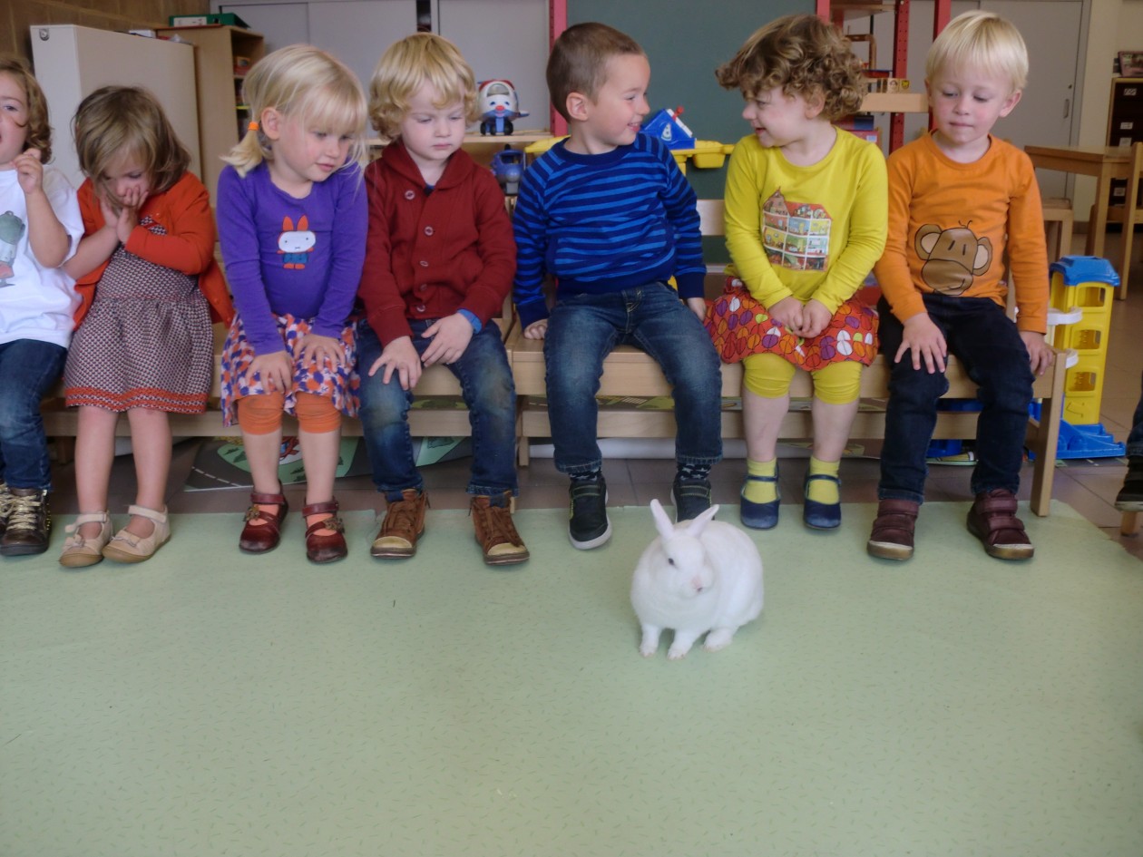 1KA Een dier in de klas