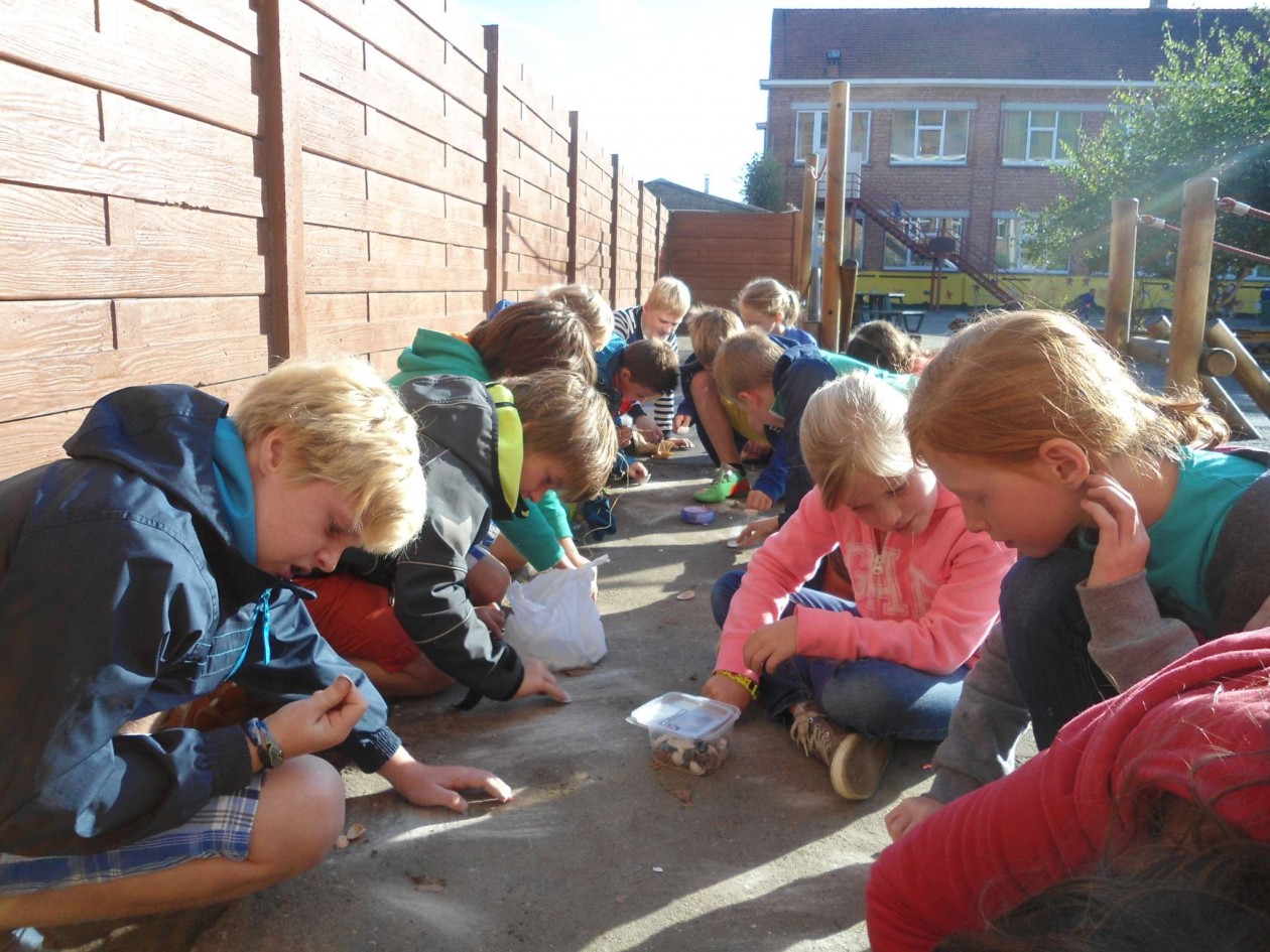 4ABC Thema prehistorie