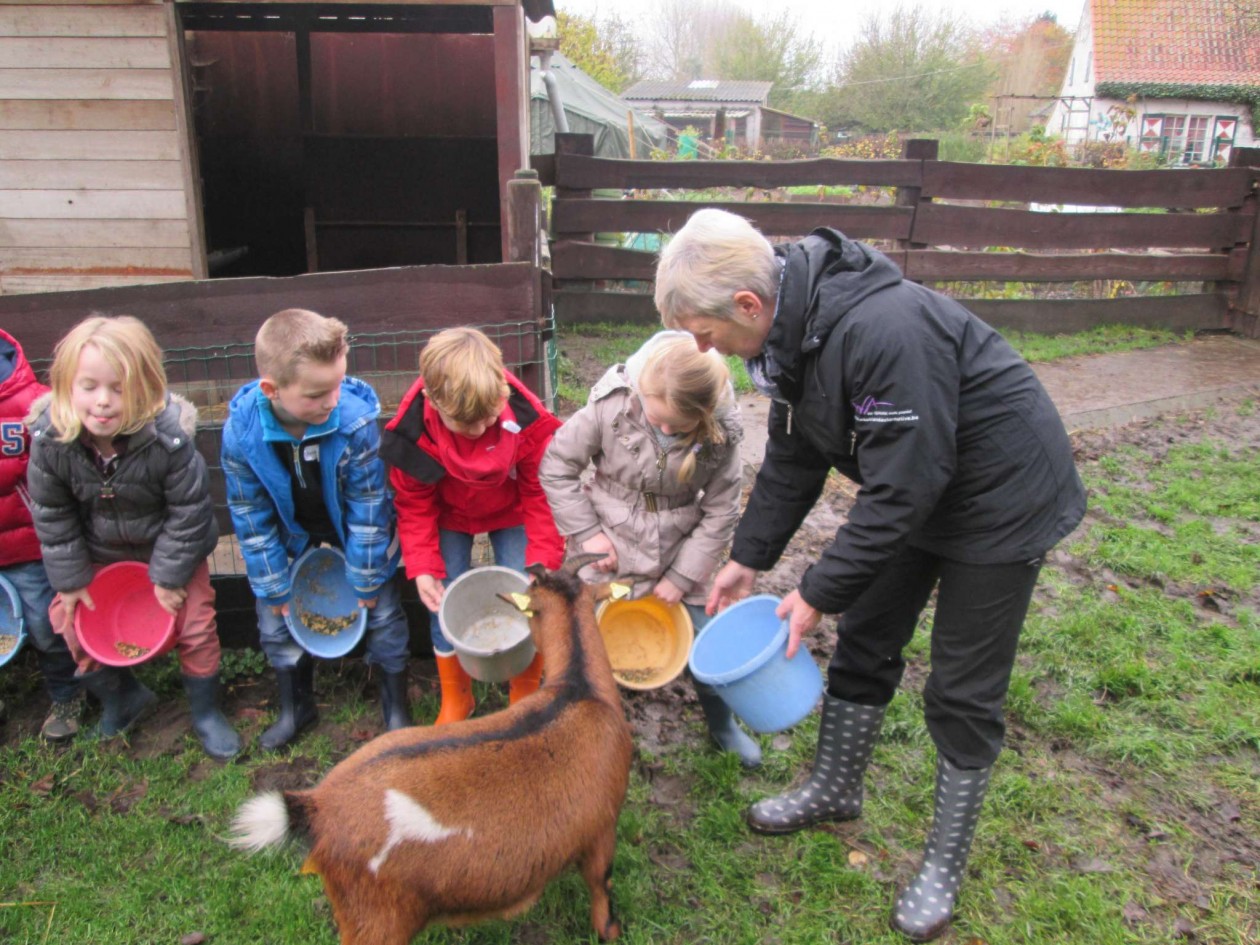 1C Bezoek aan de kinderboerderij