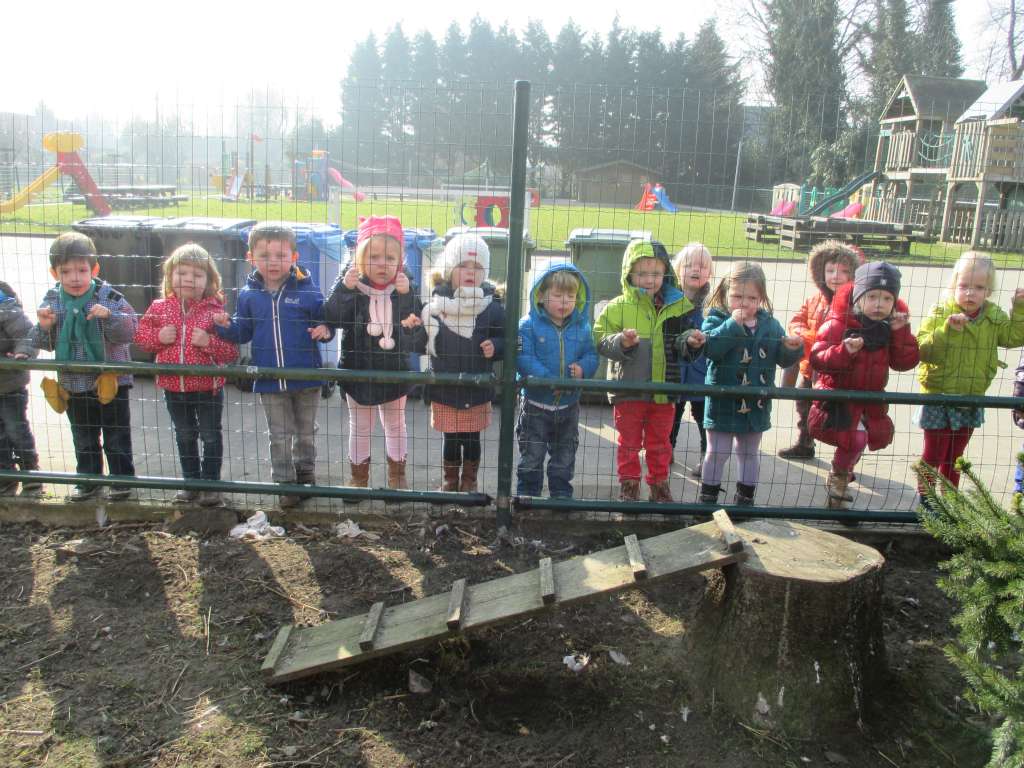 1PAB Dag kipje in het kippenhok