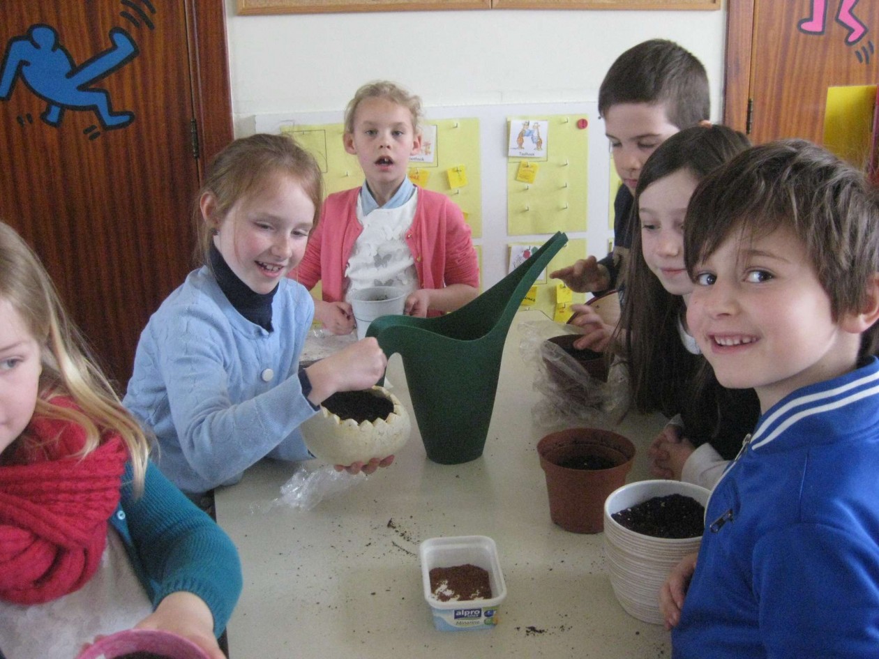 2A Zaai activiteit: Tuinkers en radijs