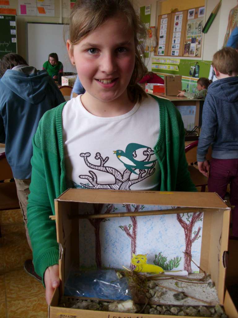 5ABC Dierenkooien maken