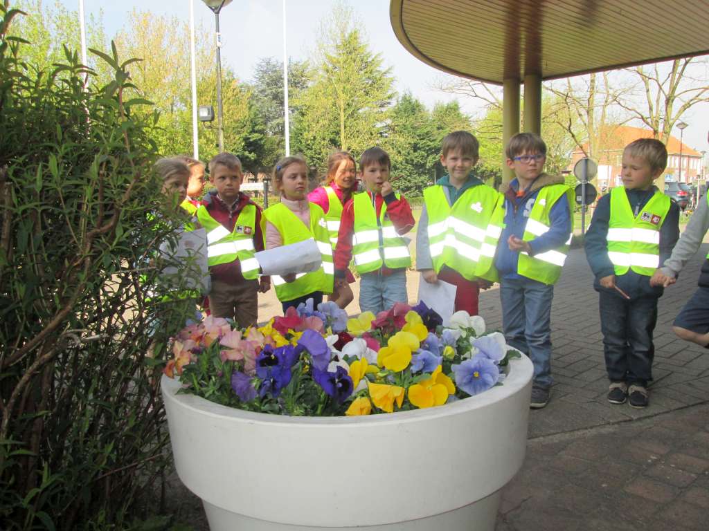 3KABC Lentebloemen