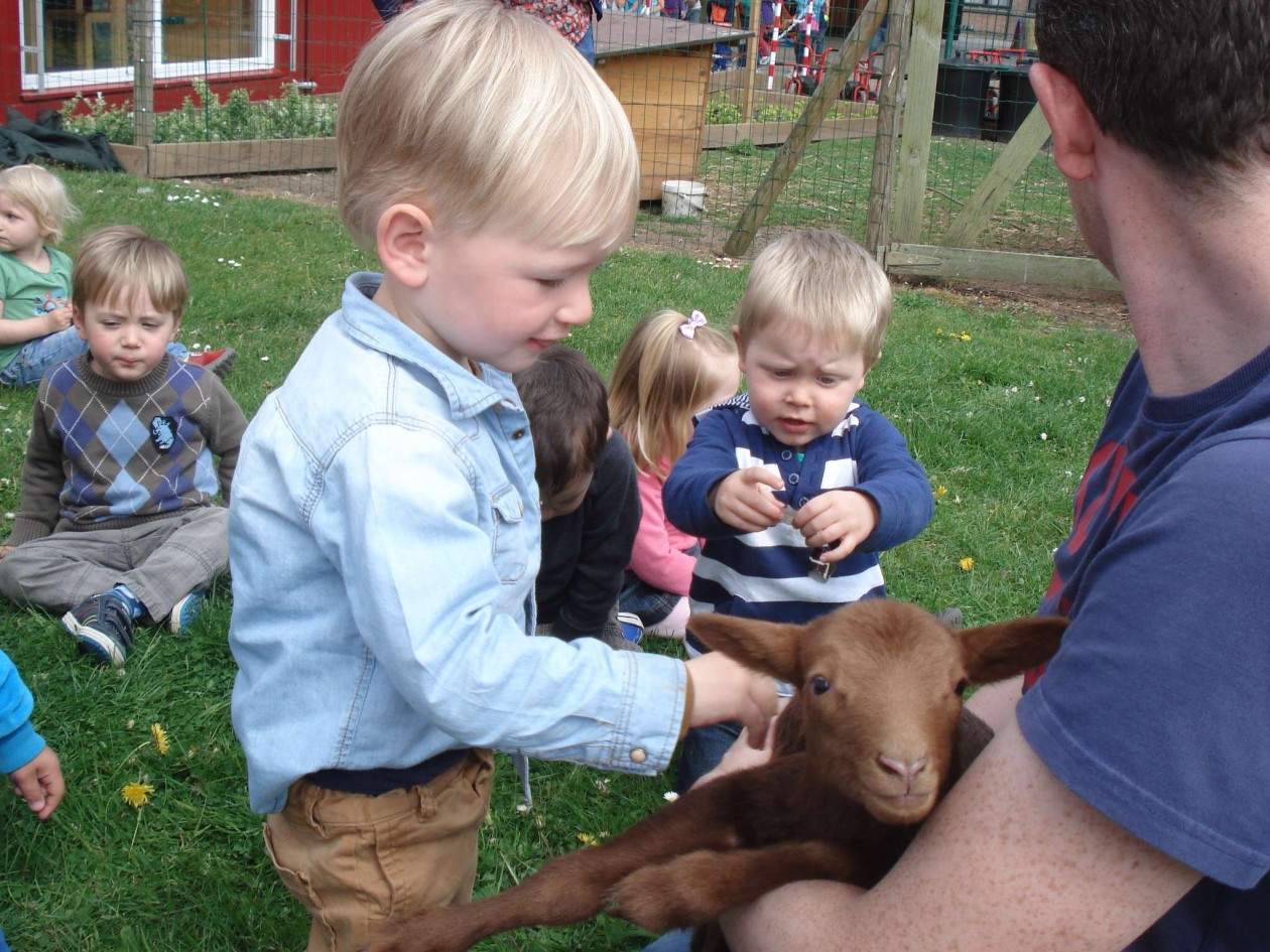 1PB Lammetjes op bezoek