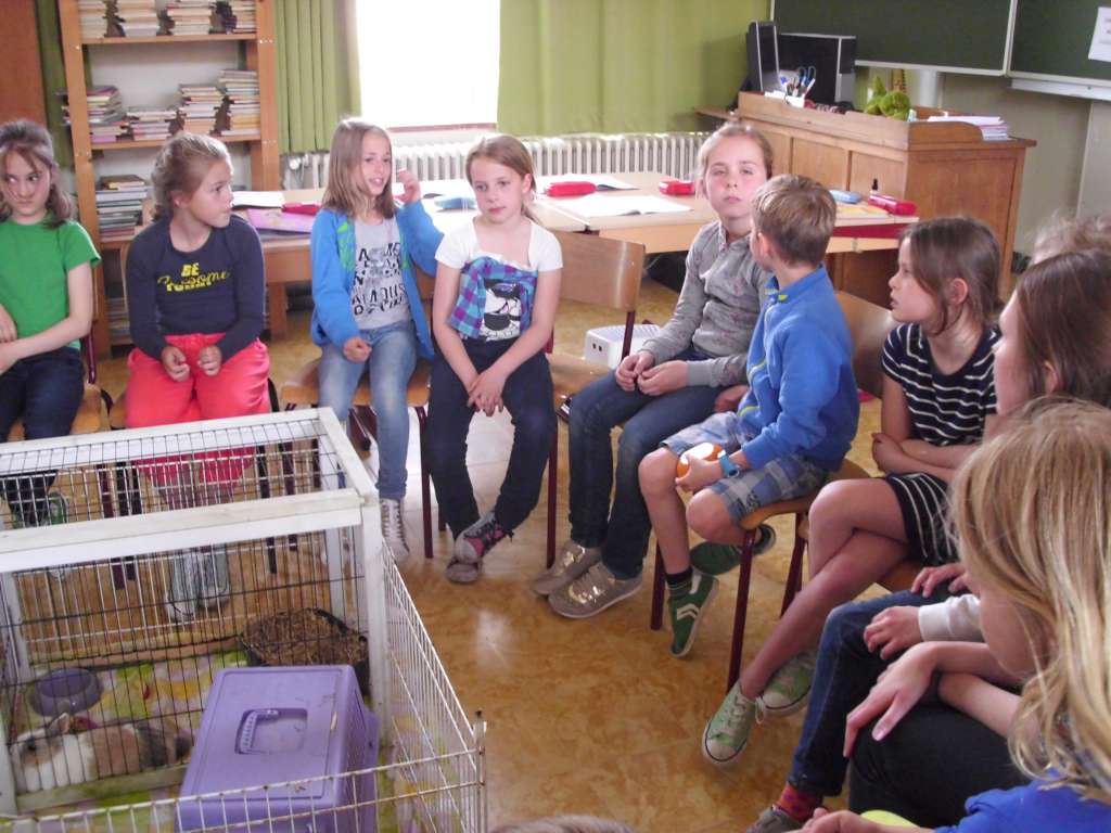 3A Les over het dier konijn