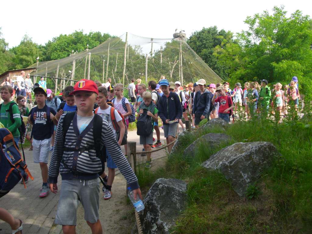 34ABC Schoolreis Beekse Bergen