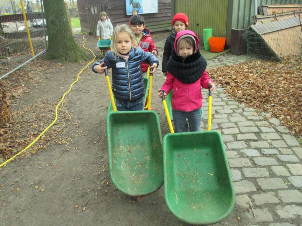1C Bezoek aan de kinderboerderij
