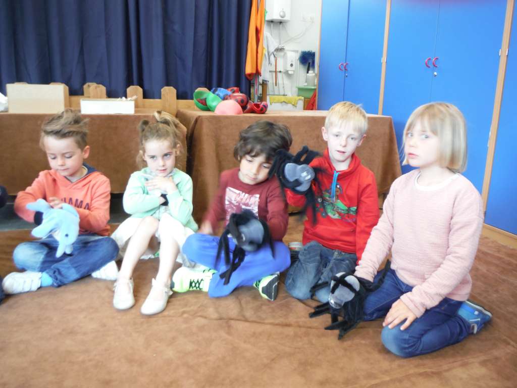 3KC Zonneklas toverbos
