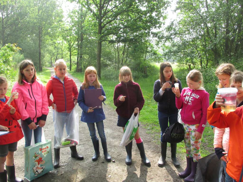 4ABC Uitstap naar de sloot