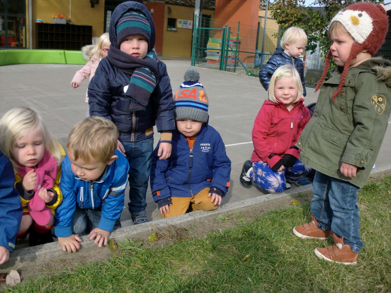 1KABC Spinnen op bezoek