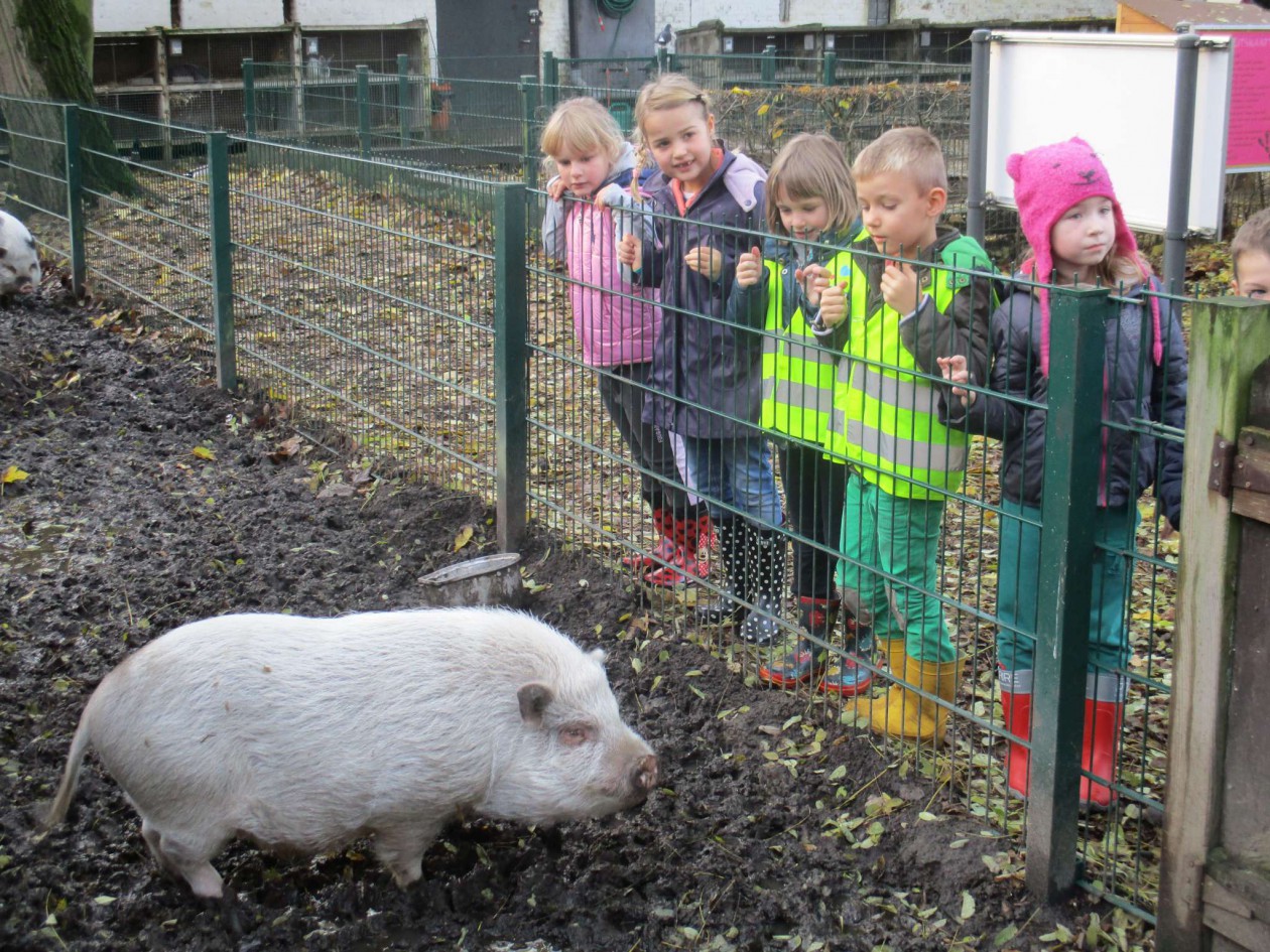 1ABC Bezoek aan de kinderboerderij