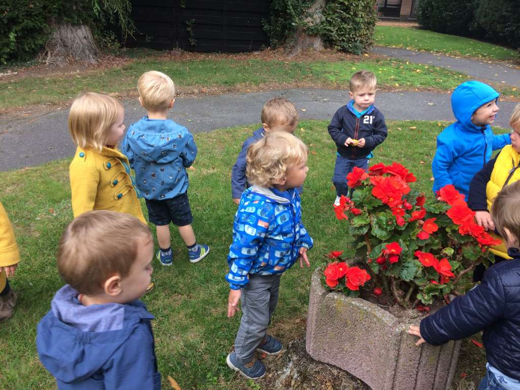 1PA Kleurenwandeling