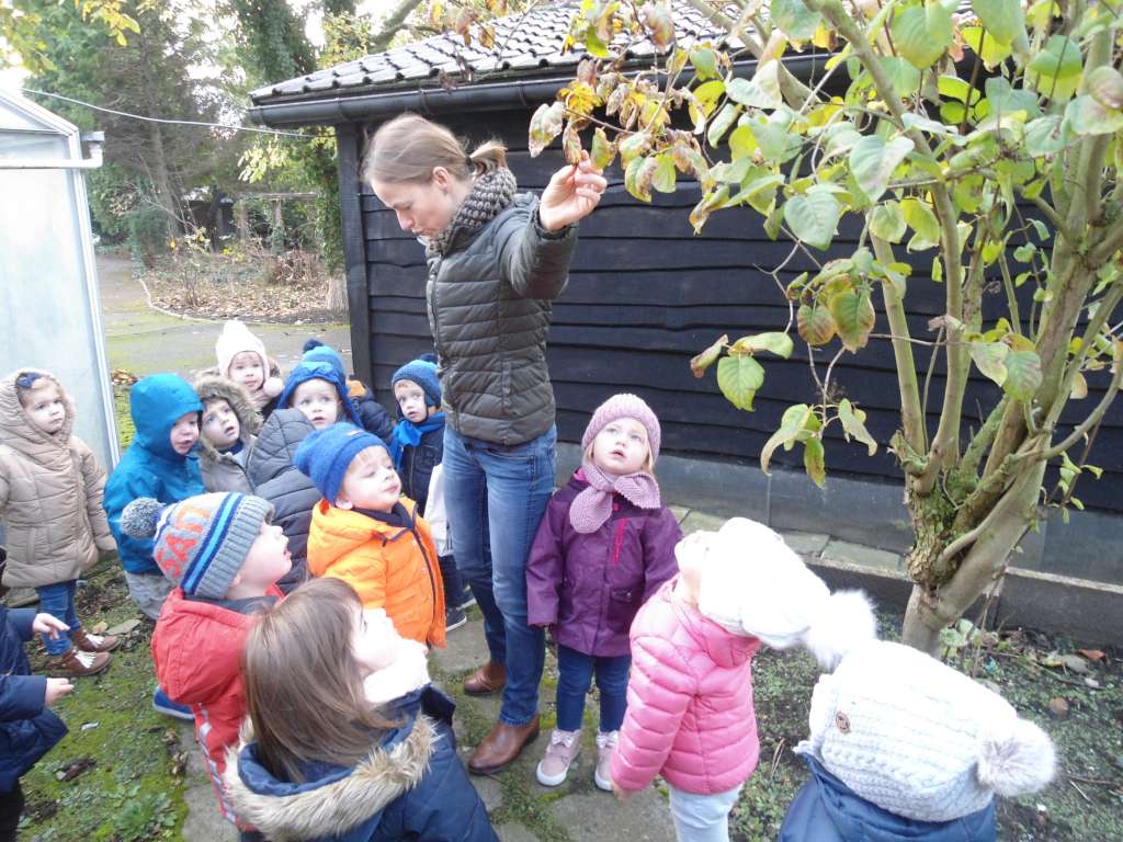 1PA Thema herfst