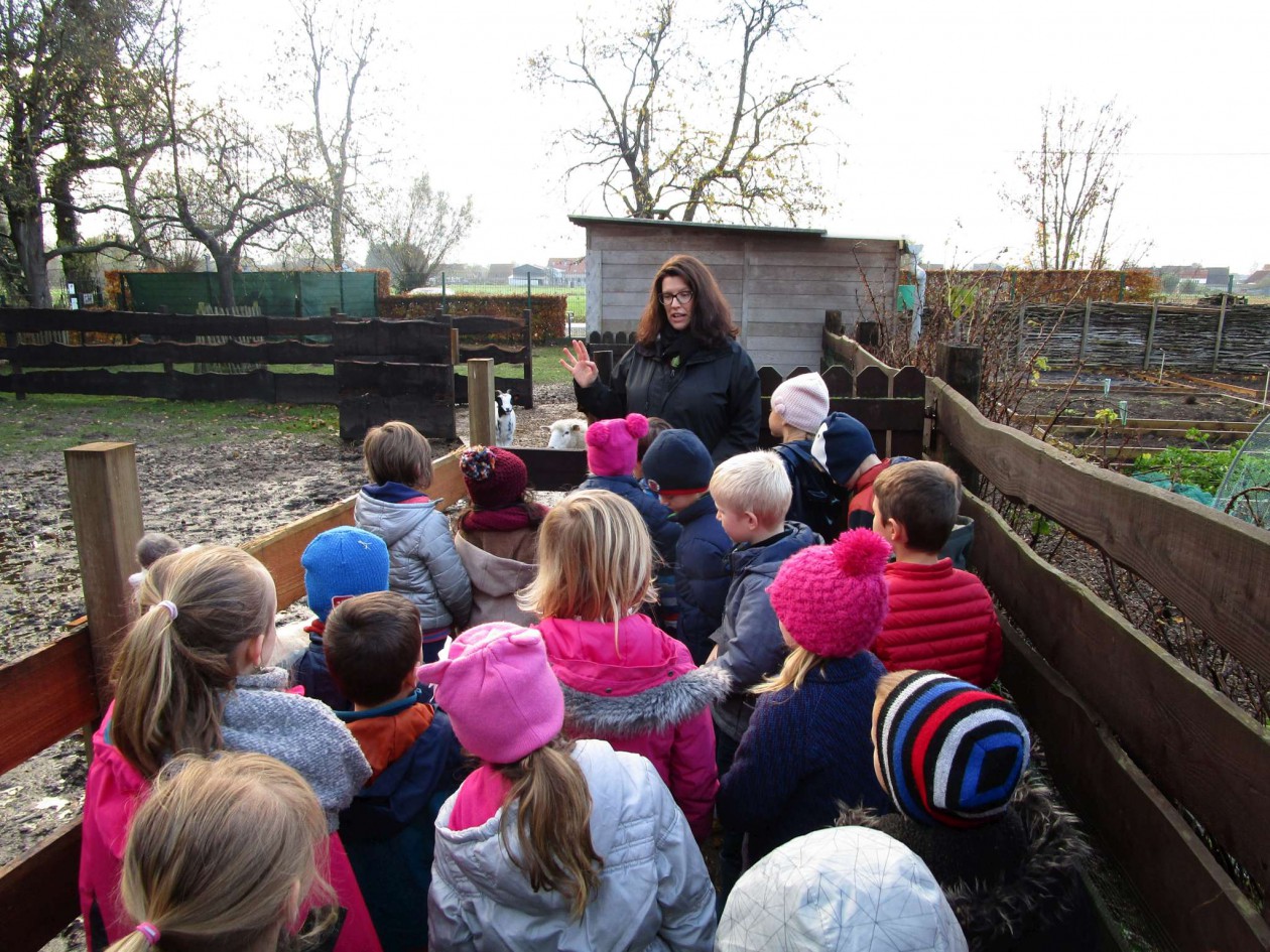 1ABC Bezoek kinderboerderij