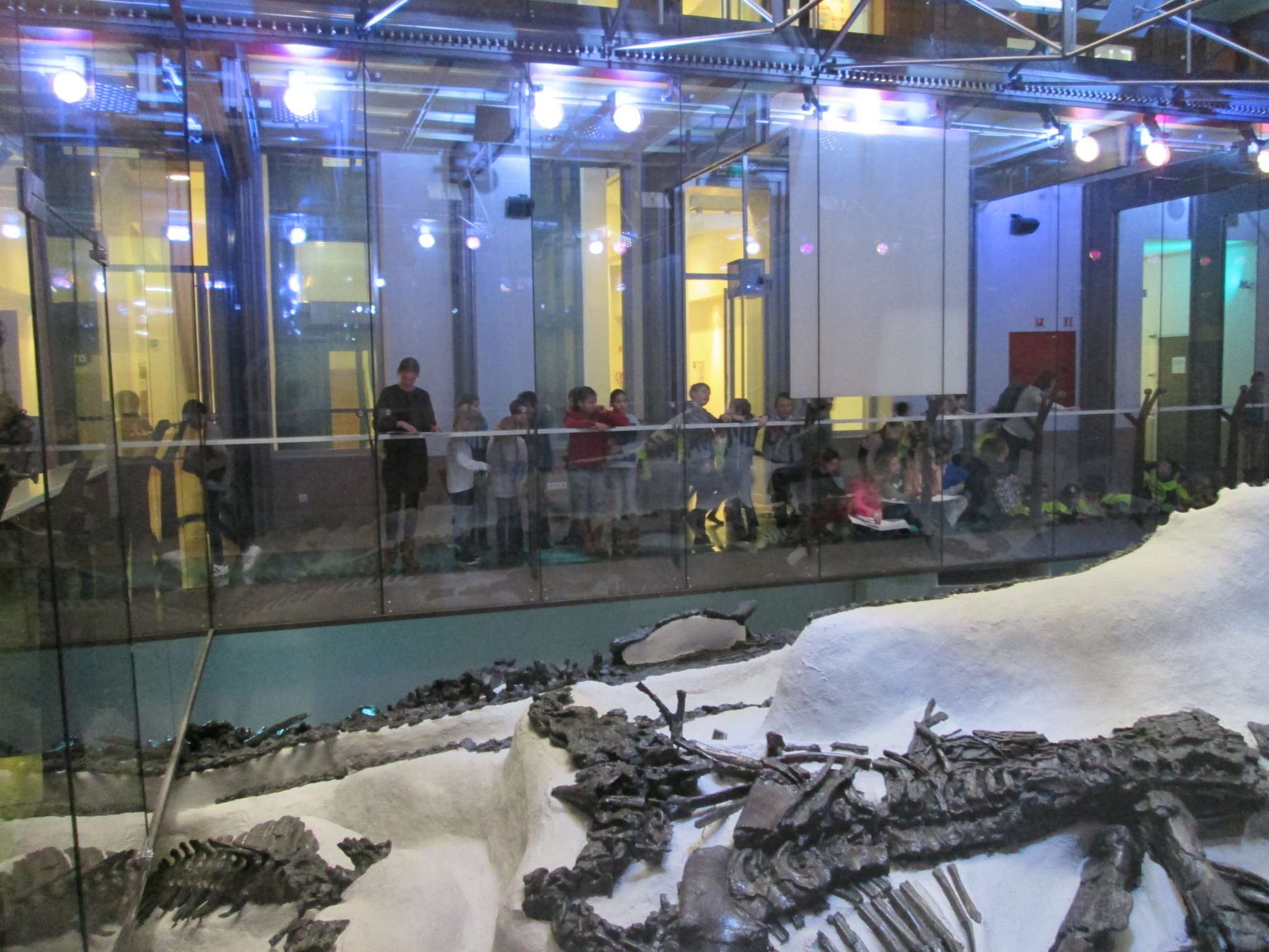 4ABC Bezoek Dinomuseum Brussel