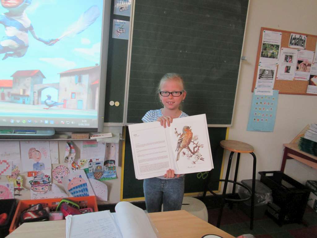 4B Spreekbeurten