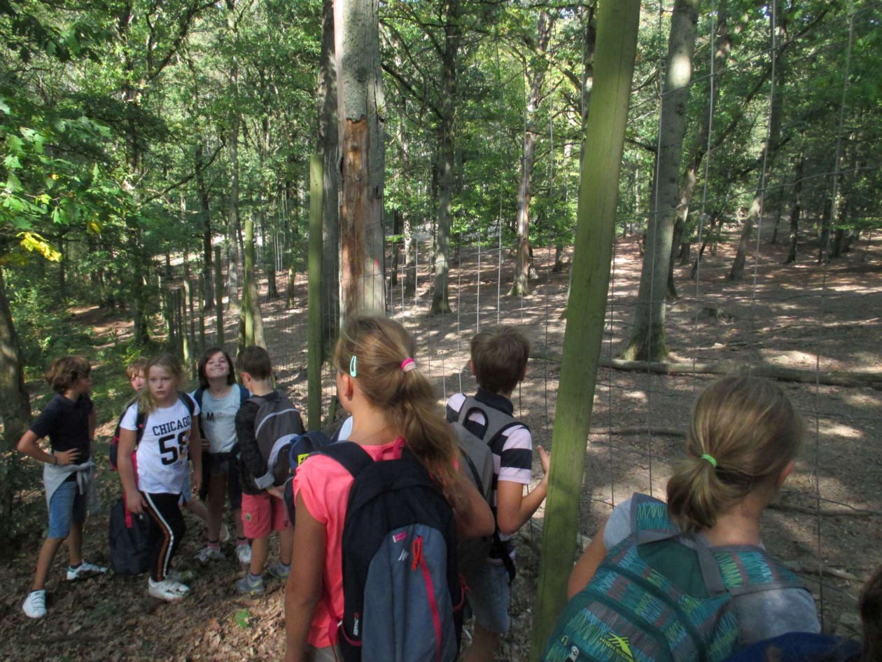 4ABC Bosklas deel 2