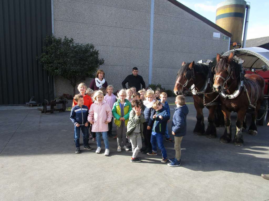 1B Huifkartocht