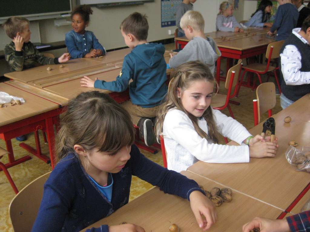 2B Herfstvruchten proeven in de klas