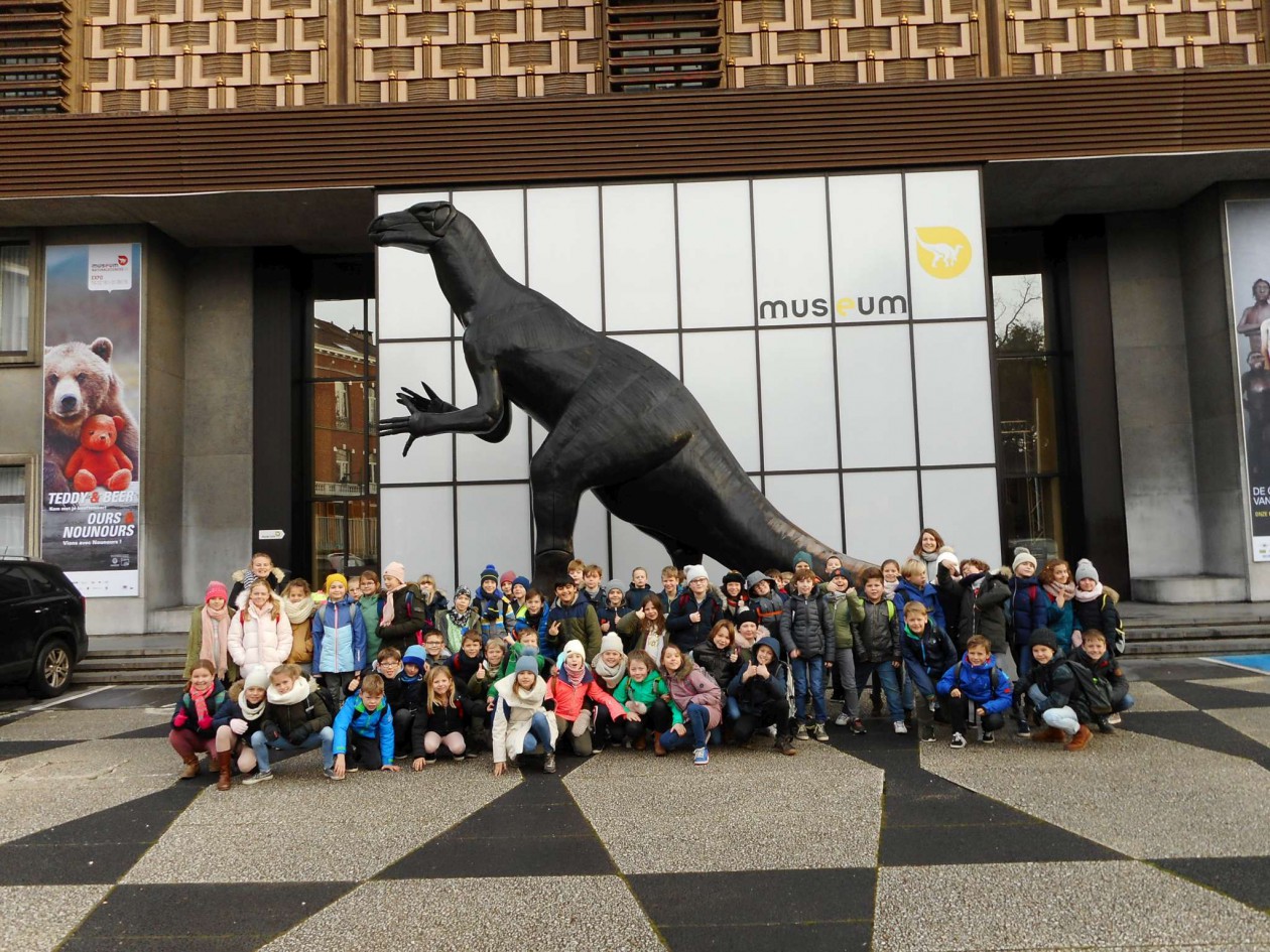 4ABC Bezoek Museum Natuurwetenschappen Brussel