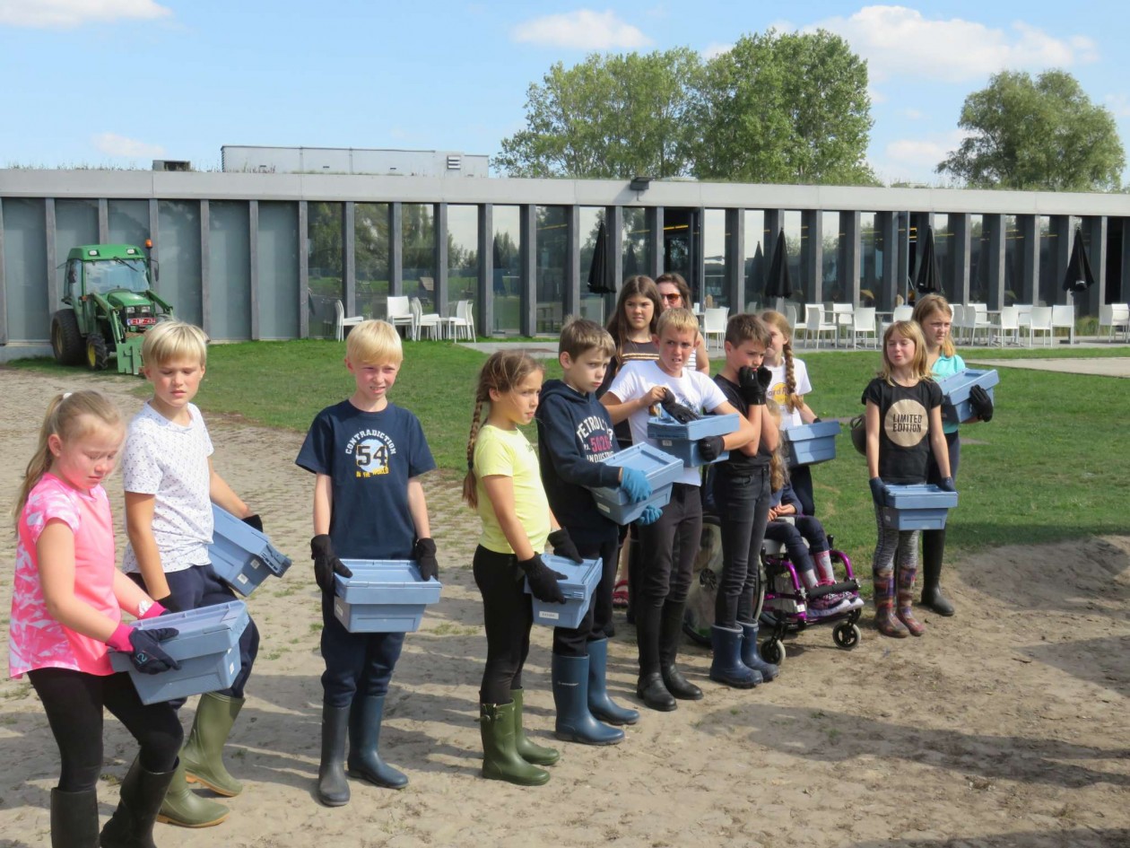 5ABC Plattelandsklassen: Vervolg
