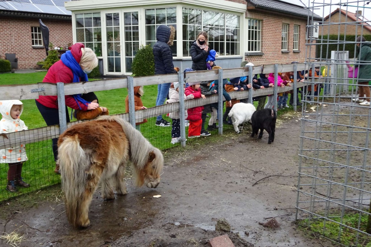 1PAB Op bezoek bij de geitjes