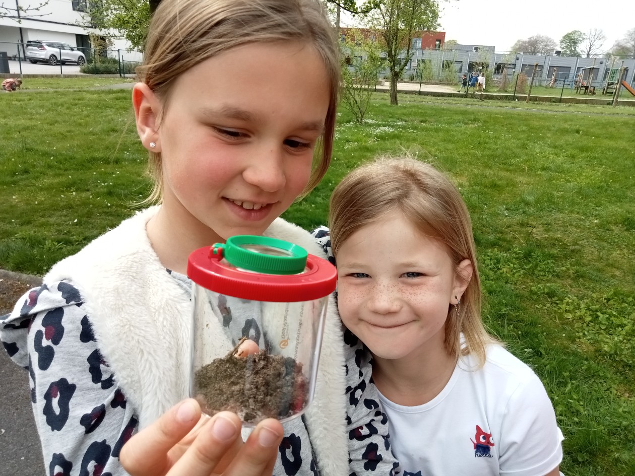 2C Bodemdiertjes