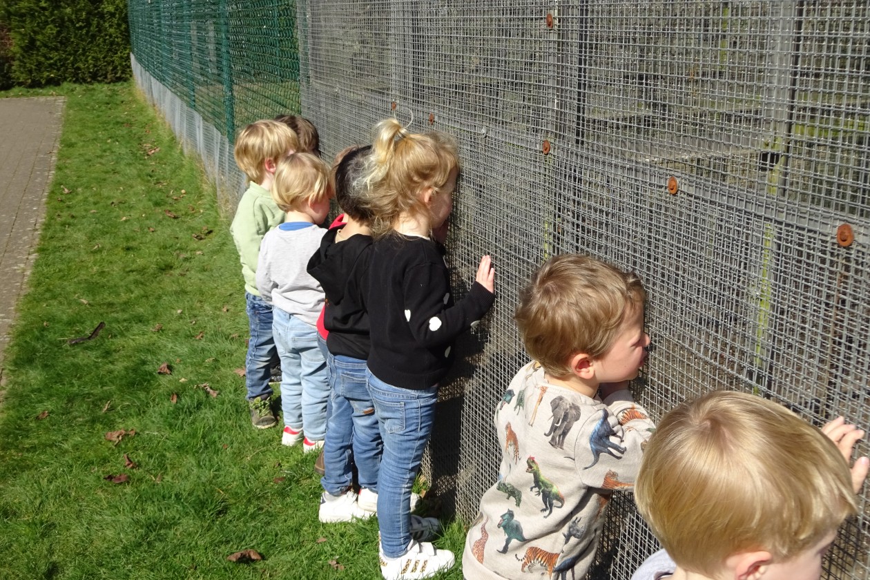 1PB Broederlijk delen en sponsortocht