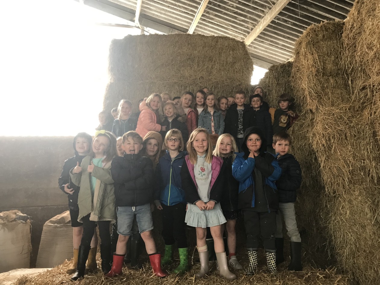 1ABC Uitstap naar de boerderij