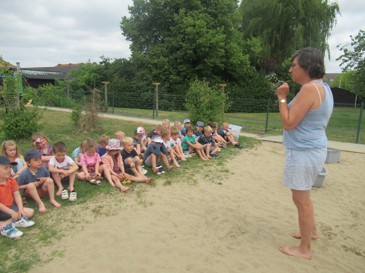 2B Zand- en waterfestival