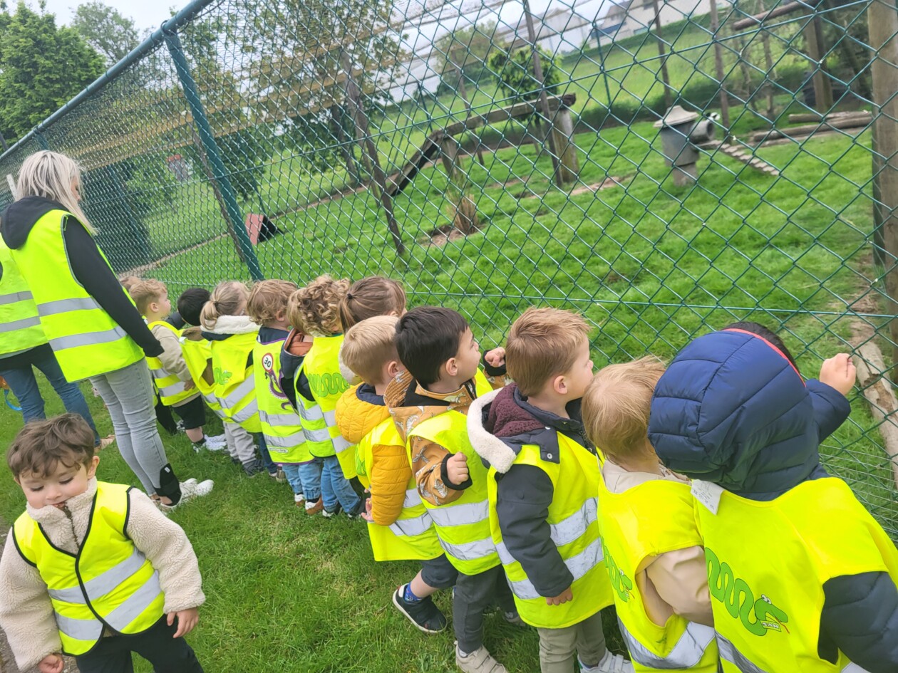 1PA Op uitstap naar de vogels