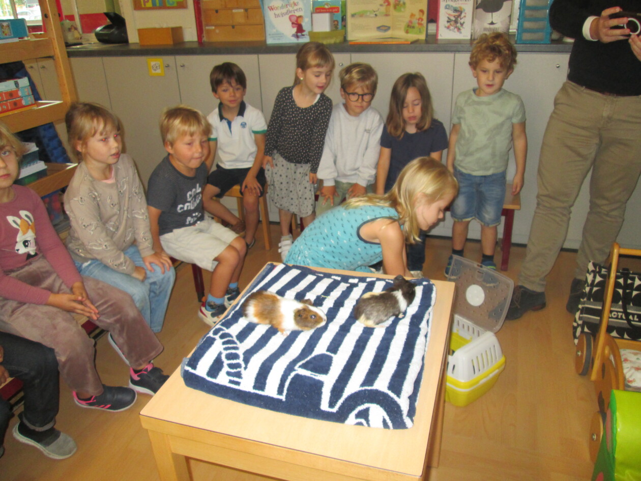 3KA Ons huisdier