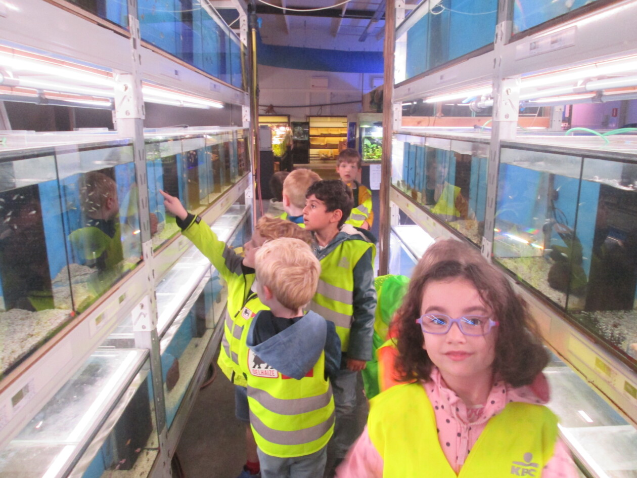 3KA Bezoek aan “Neon, de aquariumwinkel”