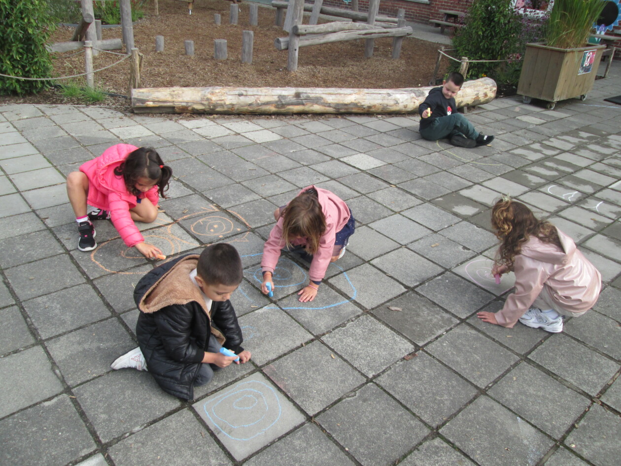 3KA Gekrullenbold