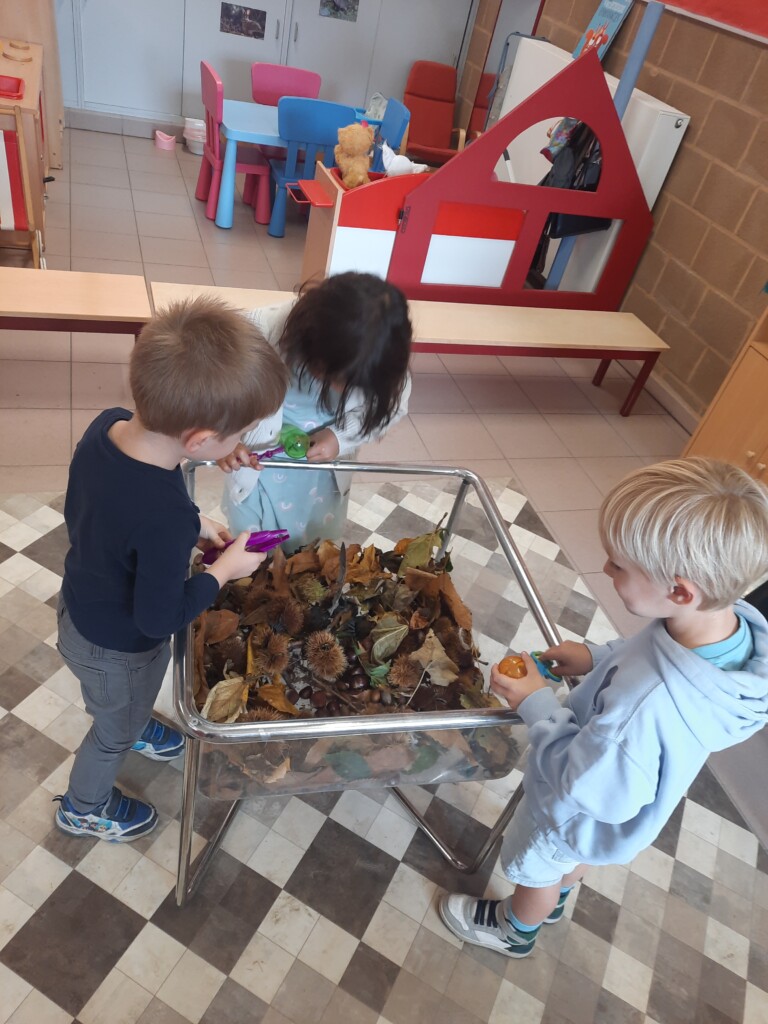 2KB Thema herfst