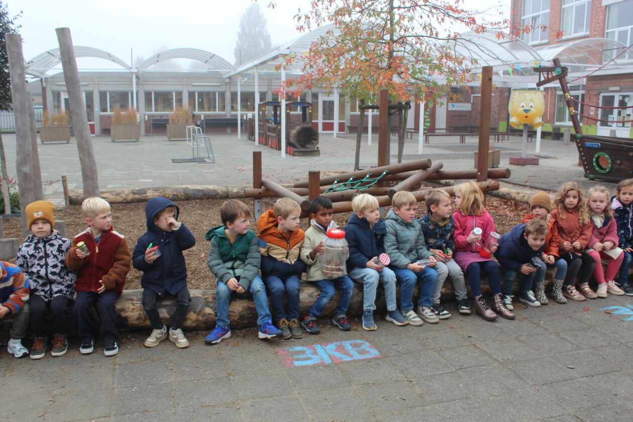 3KC Spinnen op bezoek