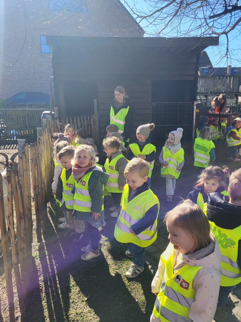 1PAB Leeruitstap naar het kippenhok