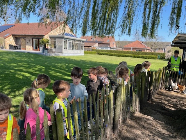 2KC Bezoek aan de kinderboerderij van juf Mireille