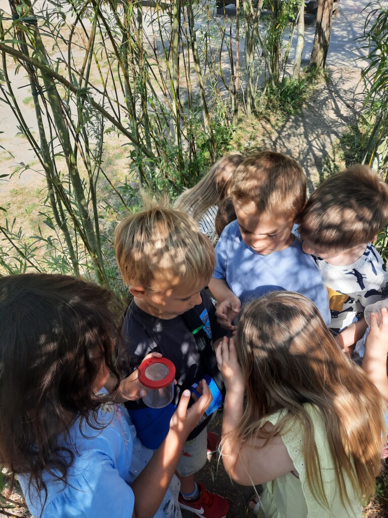 2KB Lente in de tuin