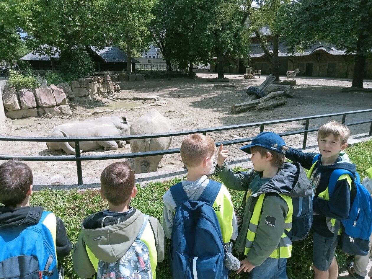 2C Op avontuur naar de zoo