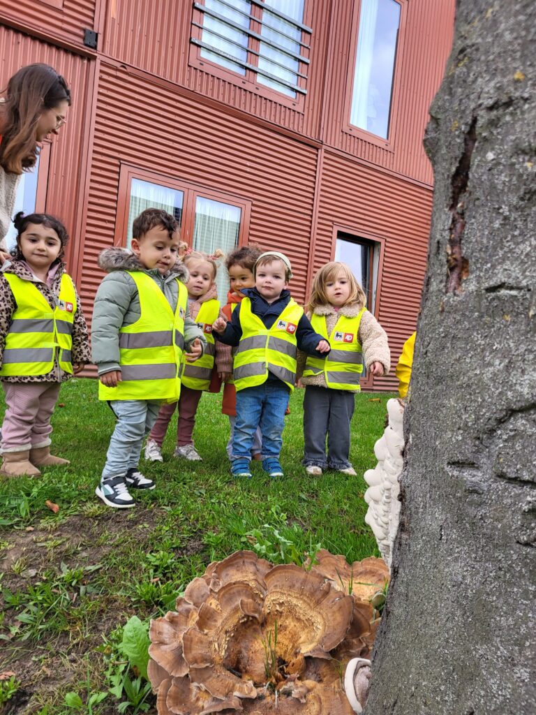 1PA Kaboutertjes in het herfstbos