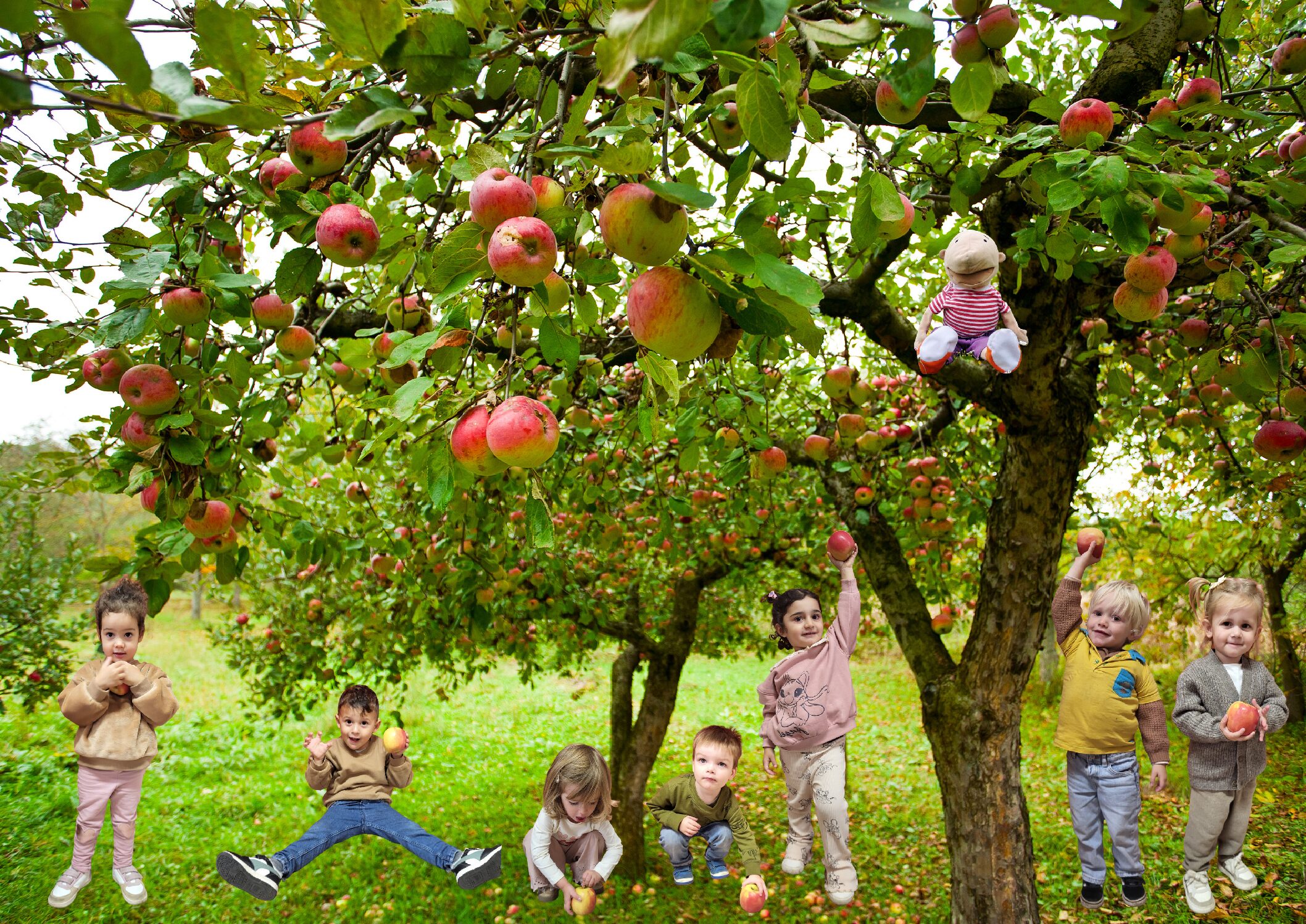 1PA Appeltjes tellen