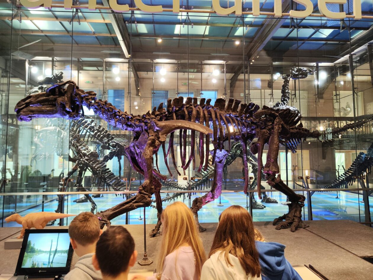 4ABC Museum Natuurwetenschappen